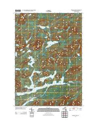 Forked Lake New York Historical topographic map, 1:24000 scale, 7.5 X 7.5 Minute, Year 2013