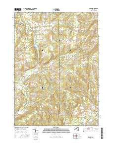 Freedom New York Current topographic map, 1:24000 scale, 7.5 X 7.5 Minute, Year 2016