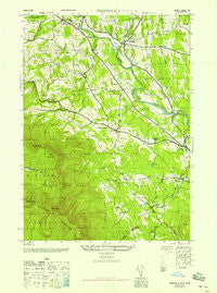 Freehold New York Historical topographic map, 1:24000 scale, 7.5 X 7.5 Minute, Year 1945