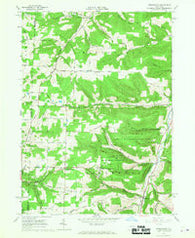 Greenwood New York Historical topographic map, 1:24000 scale, 7.5 X 7.5 Minute, Year 1965