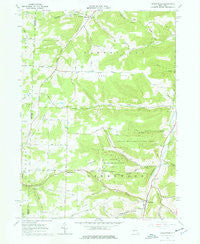 Greenwood New York Historical topographic map, 1:24000 scale, 7.5 X 7.5 Minute, Year 1965