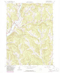 Hamden New York Historical topographic map, 1:24000 scale, 7.5 X 7.5 Minute, Year 1965