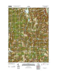 Haskinville New York Historical topographic map, 1:24000 scale, 7.5 X 7.5 Minute, Year 2013