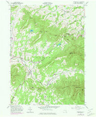Hensonville New York Historical topographic map, 1:24000 scale, 7.5 X 7.5 Minute, Year 1980