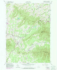 Hensonville New York Historical topographic map, 1:24000 scale, 7.5 X 7.5 Minute, Year 1980