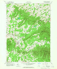Hensonville New York Historical topographic map, 1:24000 scale, 7.5 X 7.5 Minute, Year 1945