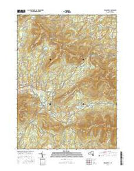 Hensonville New York Current topographic map, 1:24000 scale, 7.5 X 7.5 Minute, Year 2016