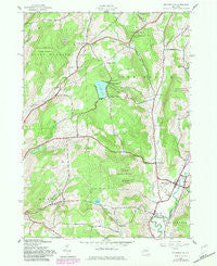 Holmesville New York Historical topographic map, 1:24000 scale, 7.5 X 7.5 Minute, Year 1943