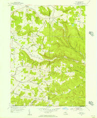 Ivory New York Historical topographic map, 1:24000 scale, 7.5 X 7.5 Minute, Year 1954
