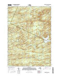 Jerseyfield Lake New York Current topographic map, 1:24000 scale, 7.5 X 7.5 Minute, Year 2016