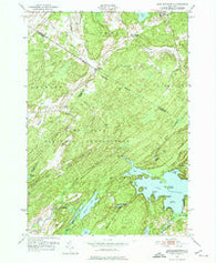 Lake Bonaparte New York Historical topographic map, 1:24000 scale, 7.5 X 7.5 Minute, Year 1951