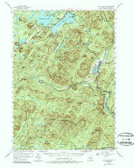 Lake Pleasant New York Historical topographic map, 1:62500 scale, 15 X 15 Minute, Year 1954