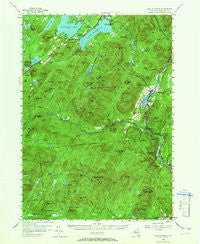 Lake Pleasant New York Historical topographic map, 1:62500 scale, 15 X 15 Minute, Year 1954