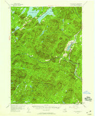 Lake Pleasant New York Historical topographic map, 1:62500 scale, 15 X 15 Minute, Year 1954