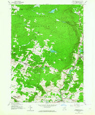 Lassellsville New York Historical topographic map, 1:24000 scale, 7.5 X 7.5 Minute, Year 1945