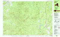 Lewbeach New York Historical topographic map, 1:25000 scale, 7.5 X 15 Minute, Year 1978