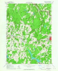 Liberty West New York Historical topographic map, 1:24000 scale, 7.5 X 7.5 Minute, Year 1965