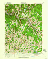 Livingston Manor New York Historical topographic map, 1:62500 scale, 15 X 15 Minute, Year 1921