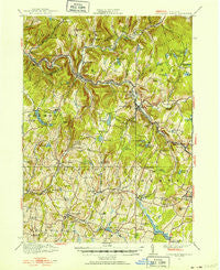 Livingston Manor New York Historical topographic map, 1:62500 scale, 15 X 15 Minute, Year 1921