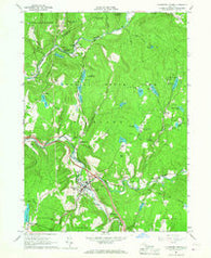 Livingston Manor New York Historical topographic map, 1:24000 scale, 7.5 X 7.5 Minute, Year 1965