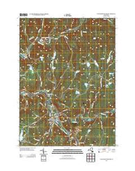 Livingston Manor New York Historical topographic map, 1:24000 scale, 7.5 X 7.5 Minute, Year 2013