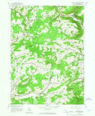 Livingstonville New York Historical topographic map, 1:24000 scale, 7.5 X 7.5 Minute, Year 1945