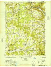 Livingstonville New York Historical topographic map, 1:24000 scale, 7.5 X 7.5 Minute, Year 1946