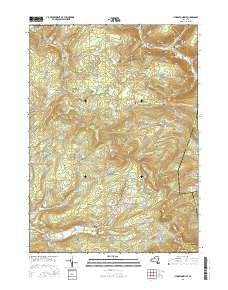 Livingstonville New York Current topographic map, 1:24000 scale, 7.5 X 7.5 Minute, Year 2016