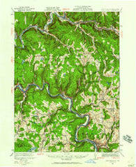 Long Eddy New York Historical topographic map, 1:62500 scale, 15 X 15 Minute, Year 1920