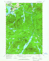 Long Lake New York Historical topographic map, 1:62500 scale, 15 X 15 Minute, Year 1955