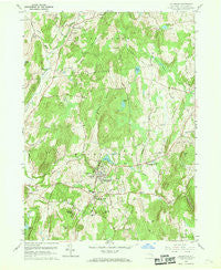 Millbrook New York Historical topographic map, 1:24000 scale, 7.5 X 7.5 Minute, Year 1960