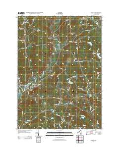 Morris New York Historical topographic map, 1:24000 scale, 7.5 X 7.5 Minute, Year 2013