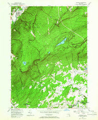 Napanoch New York Historical topographic map, 1:24000 scale, 7.5 X 7.5 Minute, Year 1956