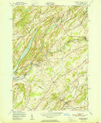 Natural Dam New York Historical topographic map, 1:24000 scale, 7.5 X 7.5 Minute, Year 1951