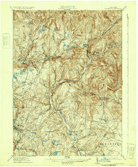 Neversink New York Historical topographic map, 1:62500 scale, 15 X 15 Minute, Year 1910