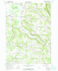 New Albion New York Historical topographic map, 1:24000 scale, 7.5 X 7.5 Minute, Year 1963