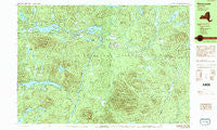 Newcomb New York Historical topographic map, 1:25000 scale, 7.5 X 15 Minute, Year 1989