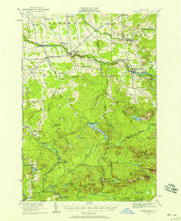 Nicholville New York Historical topographic map, 1:62500 scale, 15 X 15 Minute, Year 1919