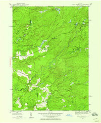 North Wilmurt New York Historical topographic map, 1:24000 scale, 7.5 X 7.5 Minute, Year 1946