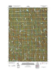 North Osceola New York Historical topographic map, 1:24000 scale, 7.5 X 7.5 Minute, Year 2013