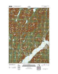 Ohmer Mountain New York Historical topographic map, 1:24000 scale, 7.5 X 7.5 Minute, Year 2013