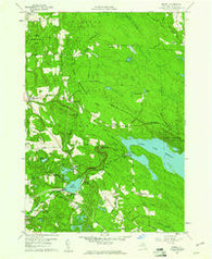 Orwell New York Historical topographic map, 1:24000 scale, 7.5 X 7.5 Minute, Year 1959