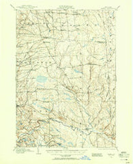 Orwell New York Historical topographic map, 1:62500 scale, 15 X 15 Minute, Year 1903