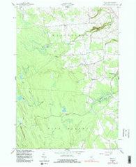 Page New York Historical topographic map, 1:24000 scale, 7.5 X 7.5 Minute, Year 1943
