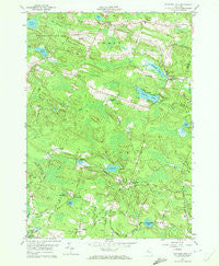 Panther Lake New York Historical topographic map, 1:24000 scale, 7.5 X 7.5 Minute, Year 1959