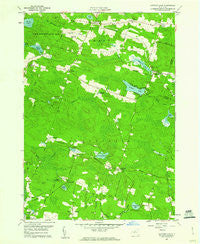 Panther Lake New York Historical topographic map, 1:24000 scale, 7.5 X 7.5 Minute, Year 1959