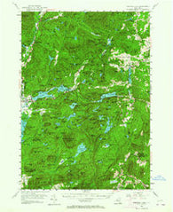 Paradox Lake New York Historical topographic map, 1:62500 scale, 15 X 15 Minute, Year 1953