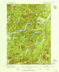 Paradox Lake New York Historical topographic map, 1:62500 scale, 15 X 15 Minute, Year 1953
