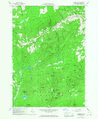 Peasleeville New York Historical topographic map, 1:24000 scale, 7.5 X 7.5 Minute, Year 1966
