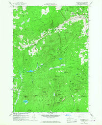 Peasleeville New York Historical topographic map, 1:24000 scale, 7.5 X 7.5 Minute, Year 1966